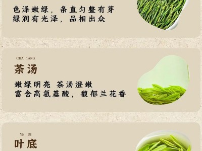 安吉白茶高山白茶明前绿茶散茶批发核心原产自产自销批发一件代发图2