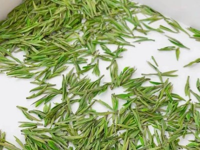安吉白茶高山白茶明前绿茶散茶批发核心原产自产自销批发一件代发图4