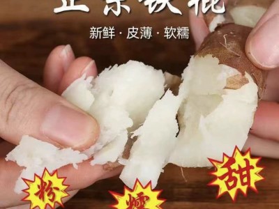 新鲜铁棍山药5斤装 正宗河南焦作温县怀山药批发 正当季铁棍山药图4