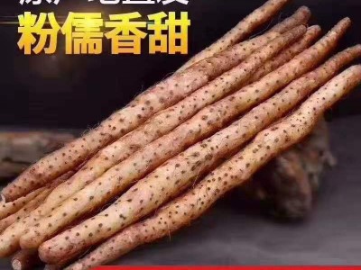 新鲜铁棍山药5斤装 正宗河南焦作温县怀山药批发 正当季铁棍山药图5