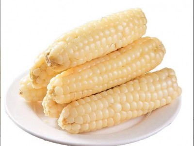 云南西双版纳拇指玉米即食早餐代餐新鲜傣家甜香糯迷你手指小玉米图2