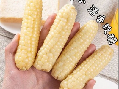 云南西双版纳拇指玉米即食早餐代餐新鲜傣家甜香糯迷你手指小玉米图3