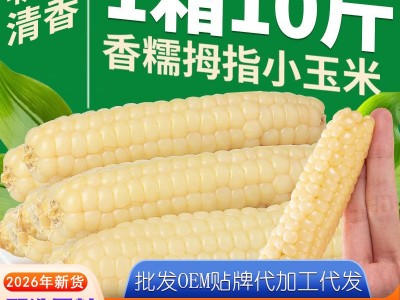 云南西双版纳拇指玉米即食早餐代餐新鲜傣家甜香糯迷你手指小玉米图5
