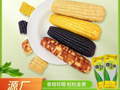 黄糯玉米东北黏玉米真空包装粗粮粘苞米黑糯玉米黏玉米棒早餐图5