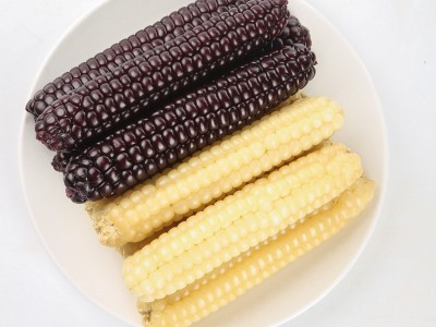 云南西双版纳拇指小玉米香甜软糯鲜真空包装白糯玉米即食代餐粗粮图2