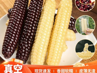 云南西双版纳拇指小玉米香甜软糯鲜真空包装白糯玉米即食代餐粗粮图5