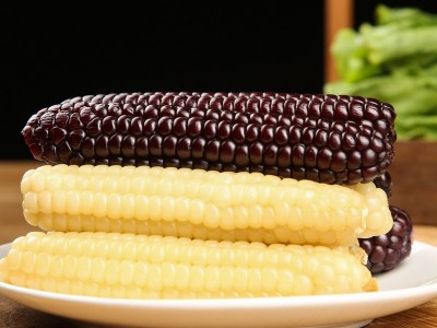 云南西双版纳拇指小玉米香甜软糯鲜真空包装白糯玉米即食代餐粗粮图3