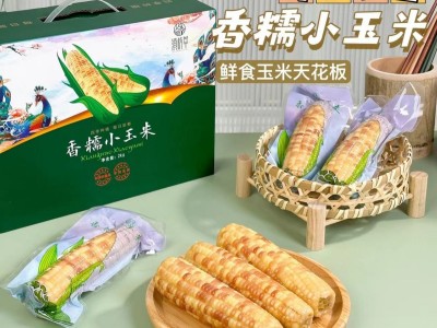云南香糯小玉米西双版纳品种甜糯玉米真空甜玉米棒粗粮即食玉米图5