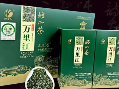 2025年青岛特产崂山绿茶万里江江雪二星新茶250克礼盒装绿茶图4
