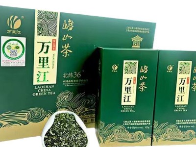 2025年青岛特产崂山绿茶万里江江雪二星新茶250克礼盒装绿茶图2