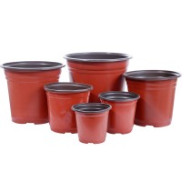 双色盆育苗盆多肉种植盆大号营养钵育苗盆一次性塑料加厚简约花盆
