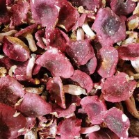 云南特产红菇干货散装批发 食用大红菌红菇煲汤食材批发送礼佳品