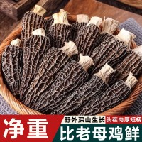 【无干燥剂发货】羊肚菌新鲜干货煲汤云南菌菇牛肚菌火锅食材批发