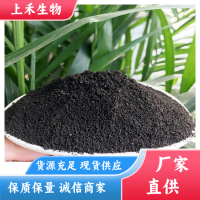 育苗基质专用 发酵纯羊粪 肥效久不烧苗 土地整改项目专用 厂家供应