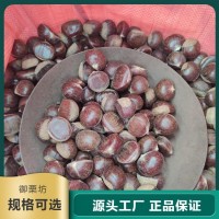 供应迁 西板栗 糖炒栗子 香甜软糯 正宗特产 品质过硬