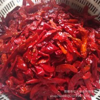 出口、批发 、厂家批发、出口 盐渍辣椒 、辣椒酱 10吨