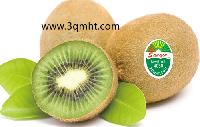 sqmht1439018 (2)