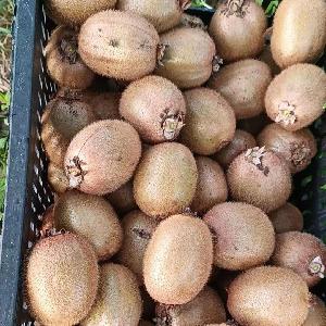 lintongshiliu1047006 (1)