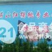 河北核桃苗河北优质核桃苗石家庄核桃苗石家庄优质核桃苗满山红  1000棵