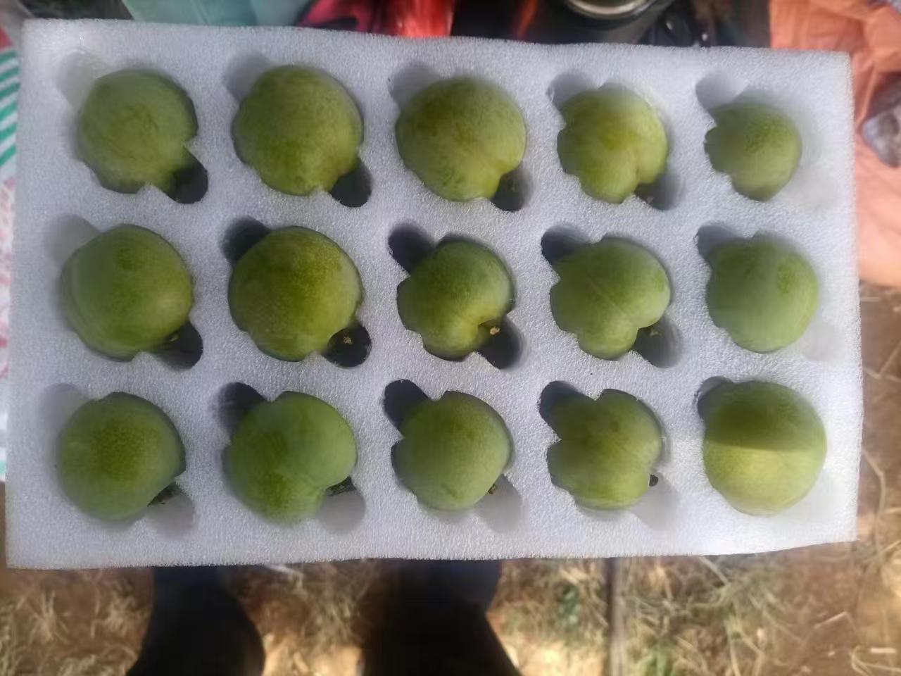 微信图片_20260625150606_918_364