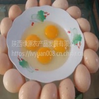 西安土鸡蛋供应 10斤