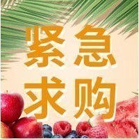 采购品种：豌豆苗